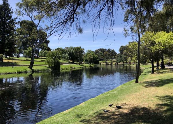 River Torrens in Adelaide