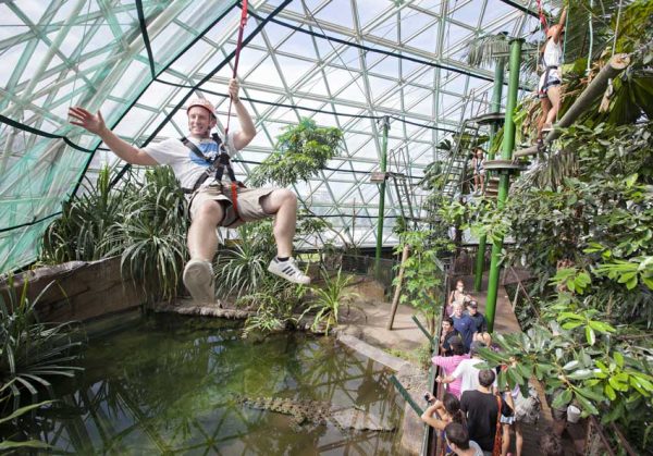 Ein Mann hängt in einem Klettergeschirr und schwebt über Pflanzen und Besucher im Wildlife Dome von Cairns