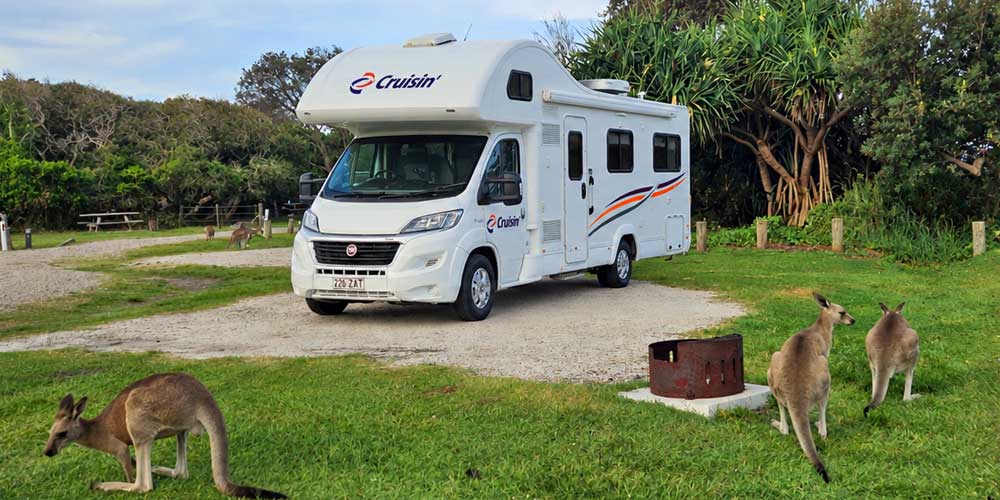 Ein Wohnmobil in Australien mit Kängurus davor