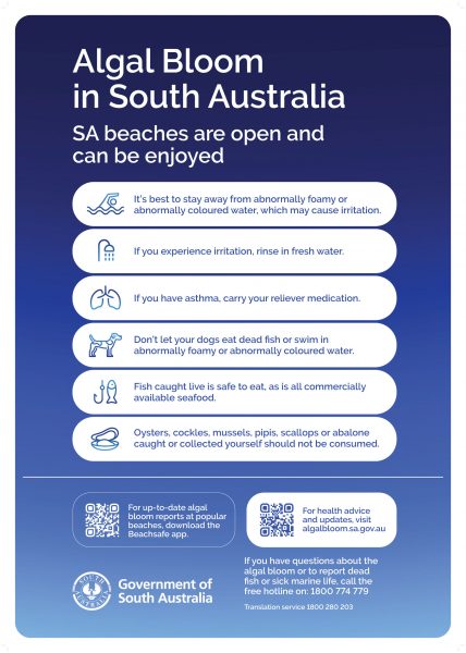Informatzionsplakat der südaustralischen Regierung zum Thema Algenblüte an den Stränden von Südaustralien/ © Gov South Australia Informatzionsplakat der südaustralischen Regierung zum Thema Algenblüte an den Stränden von Südaustralien