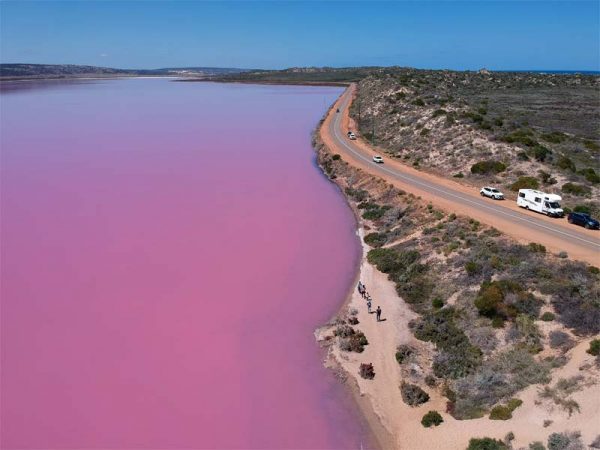 Pink Lake in Western Australia